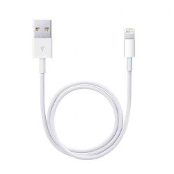 Apple Cable - 1m